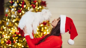 Guía para disfrutar la Navidad con tu perro