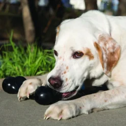Hueso resistente KONG Extreme Goodie Bone - Imagen 4