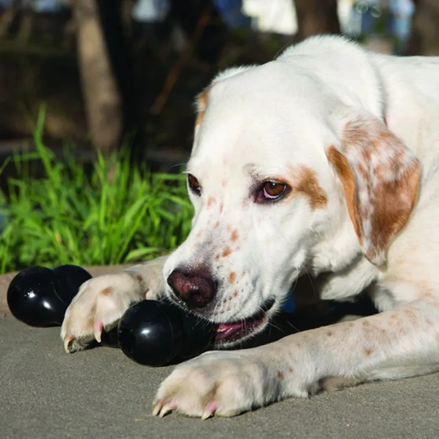 Hueso resistente KONG Extreme Goodie Bone - Imagen 4