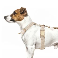 Arnés ajustable Milk & Pepper Oroko beige - Imagen 3