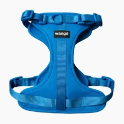 Arnés H Wango azul Glow