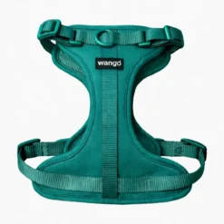 Arnés H Wango verde Basic